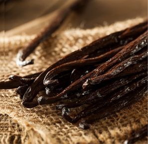 Vanilla Beans