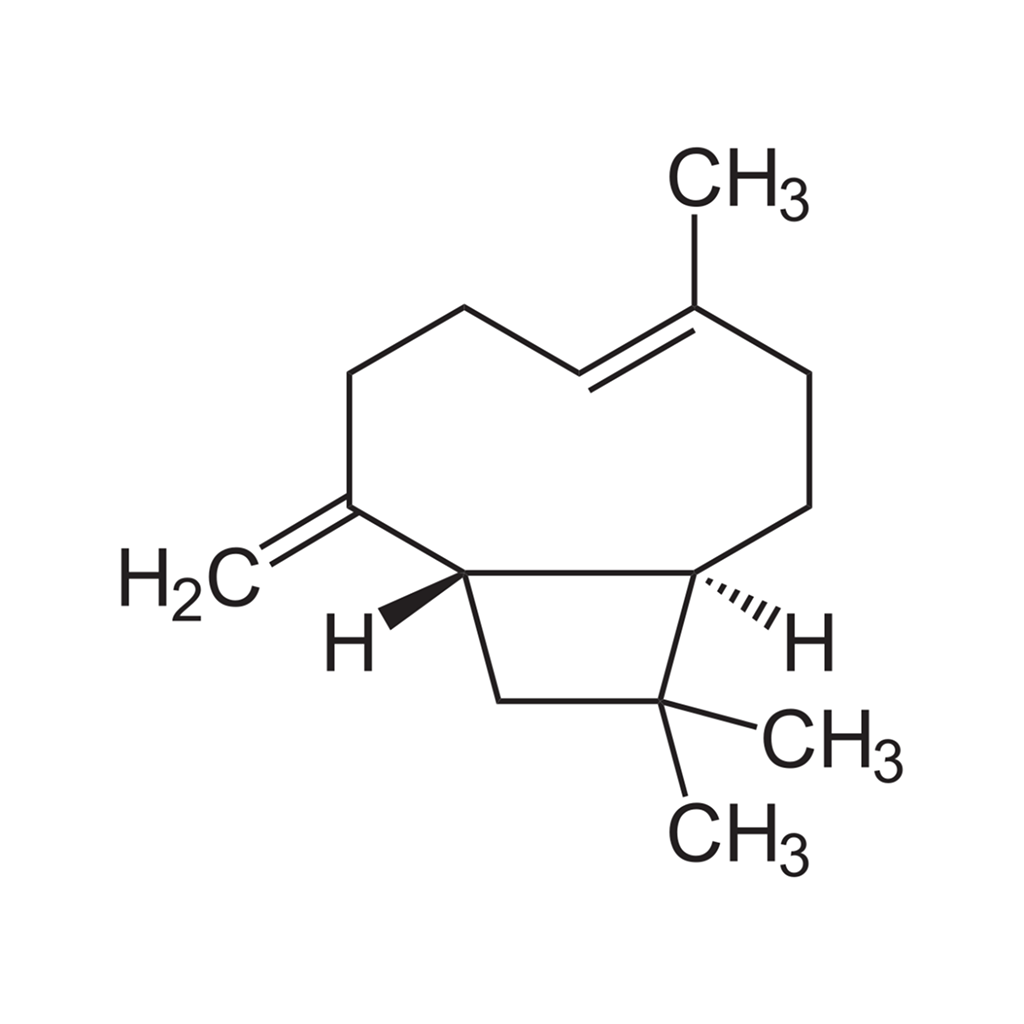 Caryophyllene (Ex. Clove Oil)